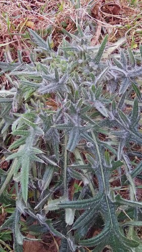Les_19.11.2019-3.jpg