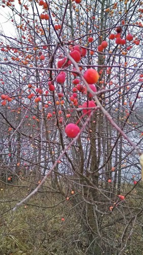 Les_19.11.2019-4.jpg