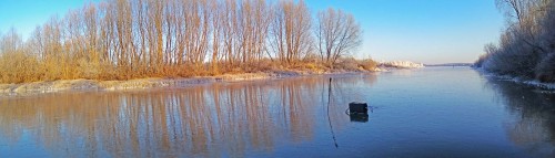 Ryb_22.11.2019-1.jpg