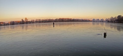 Ryb_22.11.2019-2.jpg