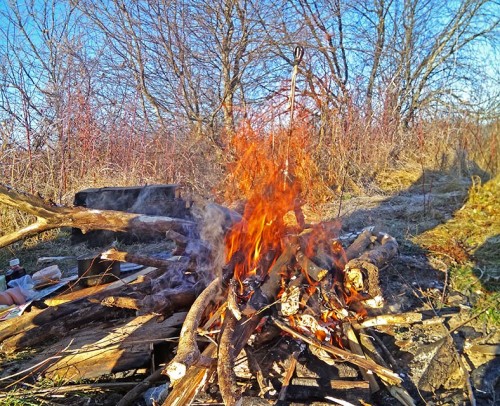Ryb_22.11.2019-4.jpg