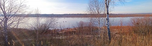 Ryb_23.11.2019-1.jpg