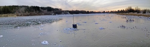 Ryb_25.11.2019-1.jpg