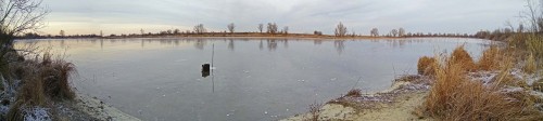 Ryb_25.11.2019-2.jpg
