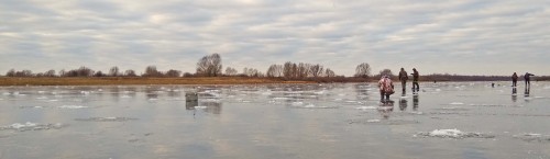 Ryb_27.11.2019-1.jpg