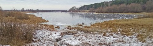 Ryb_27.11.2019-2.jpg