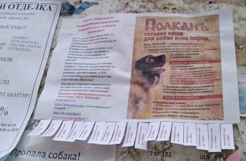 Ryb_27.11.2019-4.jpg