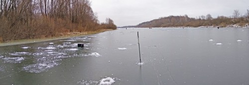 Ryb_29.11.2019-2.jpg