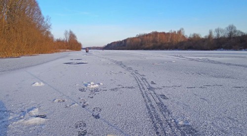 Ryb_02.12.2019-1.jpg
