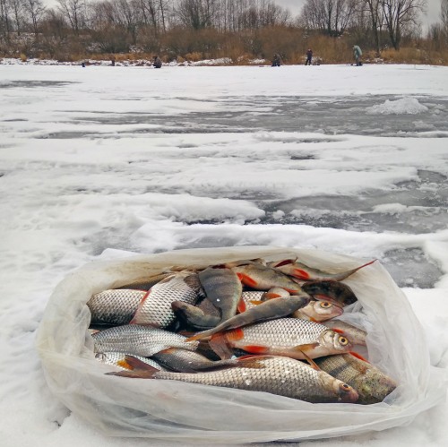 Ryb_05.12.2019-3.jpg