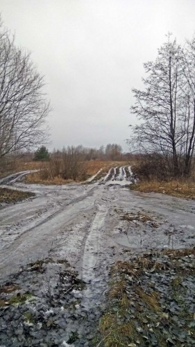 Ryb_10.12.2019-2.jpg