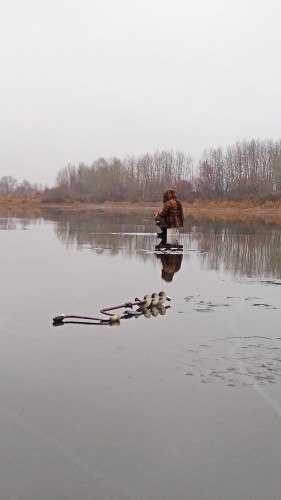 Ryb_10.12.2019-3.jpg