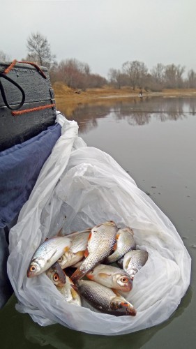 Ryb_10.12.2019-5.jpg