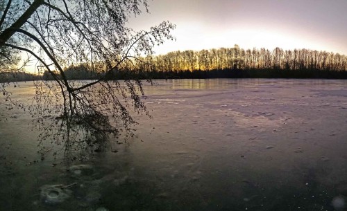 Ryb_12.12.2019-2.jpg