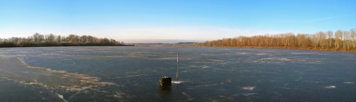 Ryb_12.12.2019-3.jpg