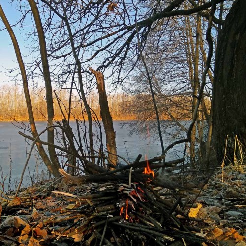 Ryb_12.12.2019-4.jpg