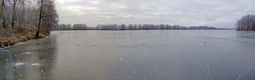 Ryb_13.12.2019-1.jpg