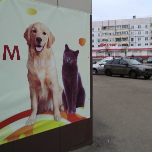 Ryb_13.12.2019-4.jpg