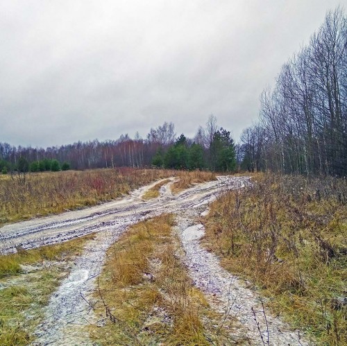 Ryb_15.12.2019-1.jpg