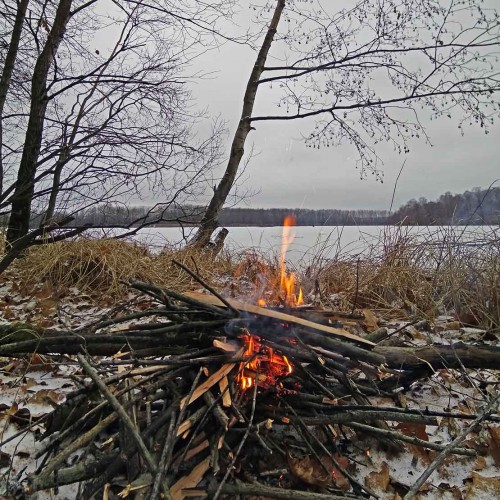 Ryb_15.12.2019-3.jpg