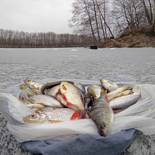 Ryb_15.12.2019-5.jpg