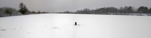Ryb_16.12.2019-1.jpg