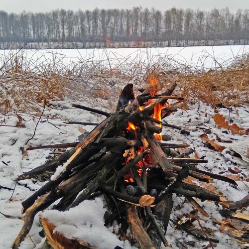 Ryb_16.12.2019-2.jpg