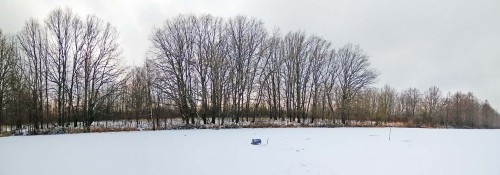 Ryb_16.12.2019-3.jpg