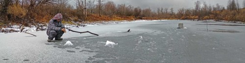 Ryb_17.12.2019-2.jpg