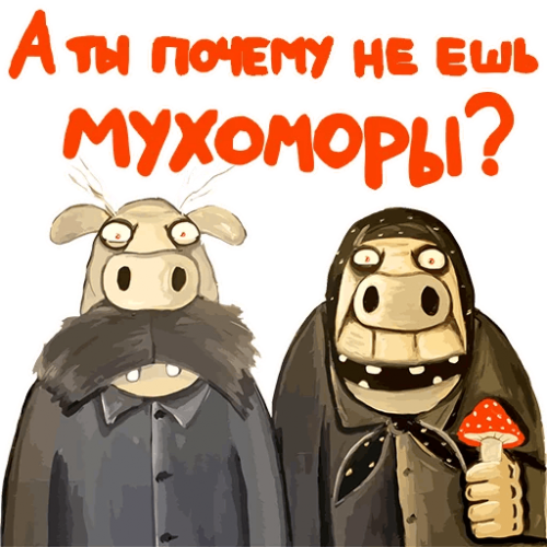 11.png