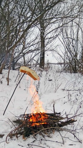 Ryb_30.01.2020-2.jpg