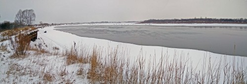 Ryb_30.01.2020-4.jpg
