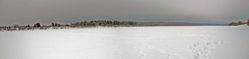 Ryb_01.02.2020-2.jpg