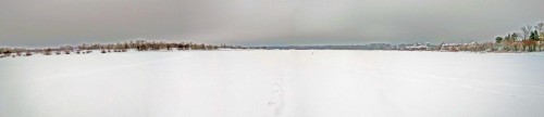 Ryb_01.02.2020-3.jpg