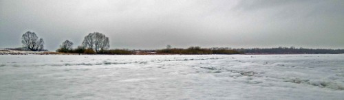 Ryb_03.02.2020-2.jpg