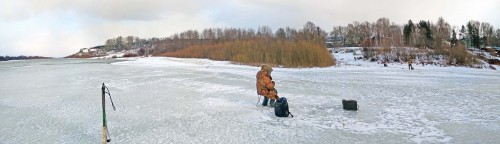 Ryb_05.02.2020-7.jpg