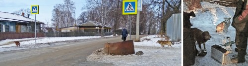 Ryb_05.02.2020-9.jpg