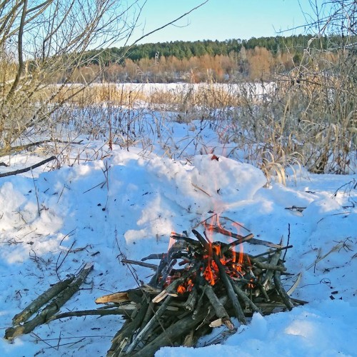 Ryb_07.02.2020-3.jpg
