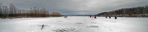 Ryb_09.02.2020-3.jpg