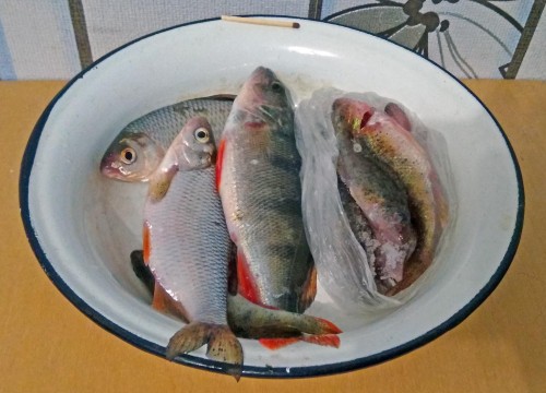 Ryb_11.02.2020-3.jpg