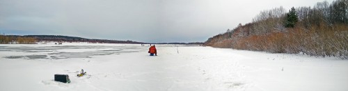 Ryb_12.02.2020-1.jpg