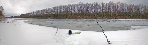 Ryb_12.02.2020-3.jpg