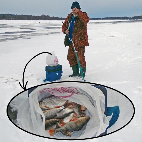 Ryb_12.02.2020-4.jpg