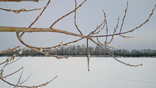 Ryb_14.02.2020-3.jpg