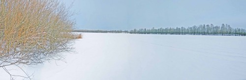 Ryb_14.02.2020-5.jpg