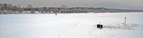 Ryb_16.02.2020-2.jpg