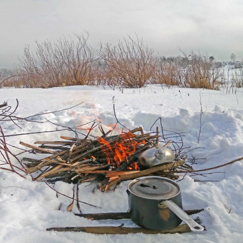 Ryb_16.02.2020-3.jpg