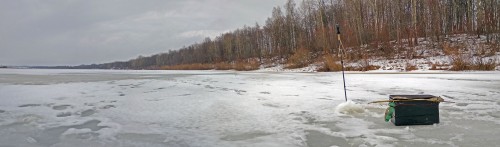 Ryb_18.02.2020-2.jpg