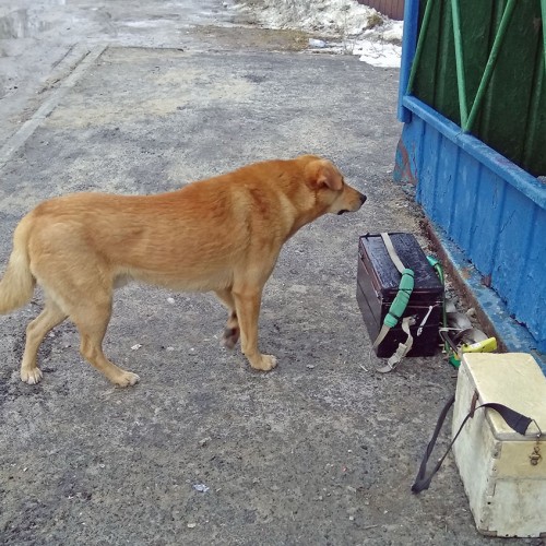 Ryb_18.02.2020-7.jpg