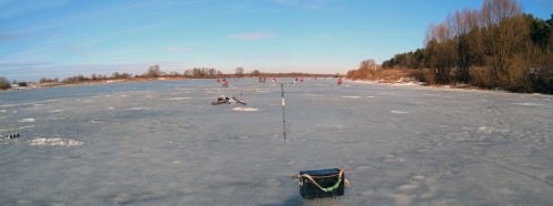 Ryb_20.02.2020-1.jpg